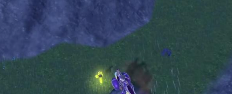 宝可梦朱紫古鼎鹿在哪 封印古鼎鹿八根木桩位置分享[多图]图片17