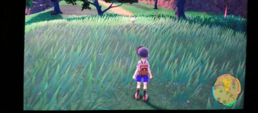 宝可梦朱紫闪光加成三明治配方材料大全 宝可梦朱紫闪光加成三明治配方材料大全