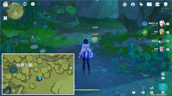 原神纳西妲突破材料全收集攻略