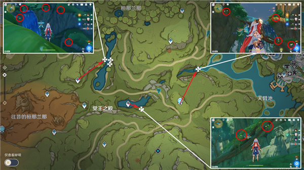 原神纳西妲突破材料全收集攻略