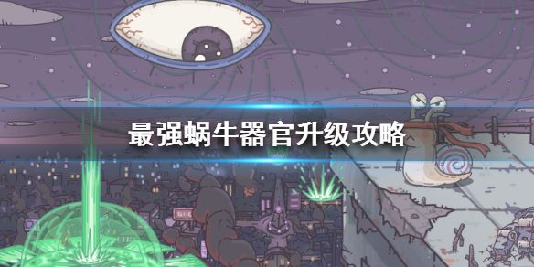 最强蜗牛器官怎么升级 器官升级材料一览图片1